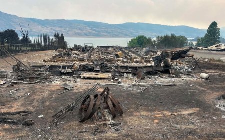 Photos show Bradley Creek wildfire destruction as resident describes losing everything