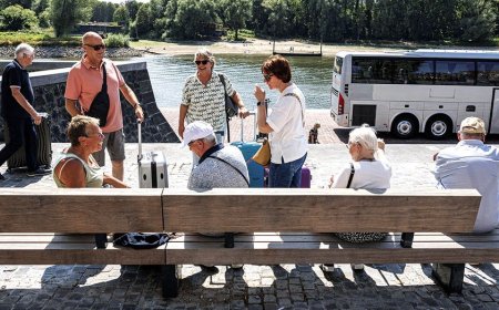 Cruises thrown into chaos as drought strands ships, leaves passengers scrambling