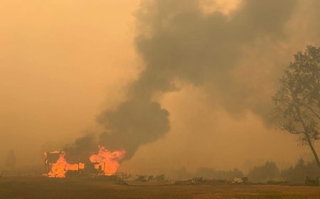 Massive Pear Lake wildfire devastates Clinton ranch as owner fights flames