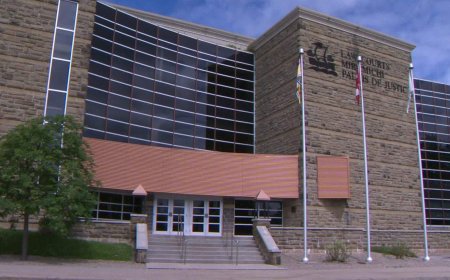 Complaint against New Brunswick lawyer’s use of AI part of growing trend: experts
