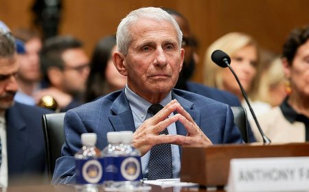 Fauci held in contempt as COVID cellphone lands in hands of Senate investigators
