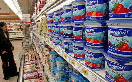 Dannon's decision to kill beloved yogurt sparks fan revolt: 'It's what I got out of bed for'