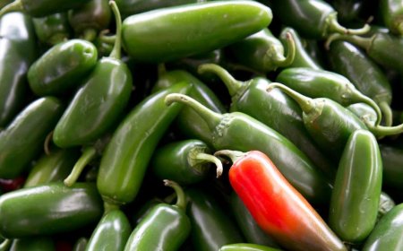 U.S. salmonella outbreak linked to jalapenos spreads in 27 states