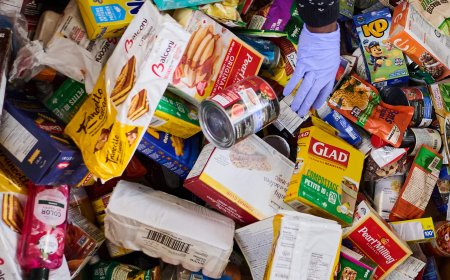 Sewer pipe failure forces Toronto food bank to close