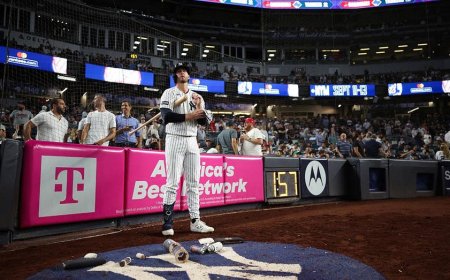 Woman sues Yankees for $10 million, claiming errant bat into stands caused severe injuries