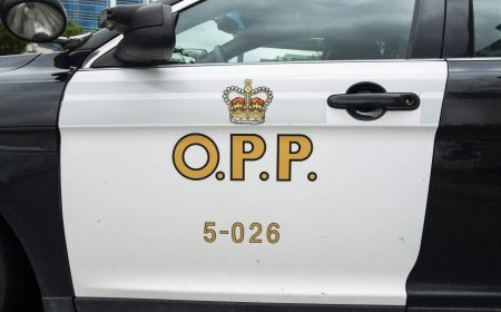OPP says 8 people died on roads, waterways during deadliest weekend of 2026 so far