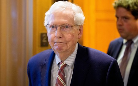 Mitch McConnell discharged from rehab after fall in mid-June