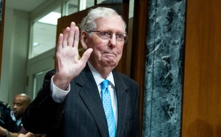McConnell is out of rehab, but his absence has stunted a key Republican priority