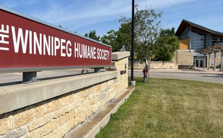 Winnipeg shelters see increase in pet surrenders due to high vet costs