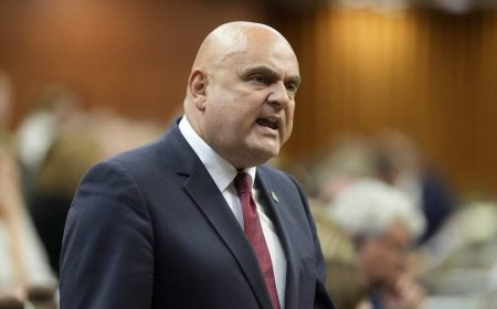Conservative MP Larry Brock announces he will resign next month