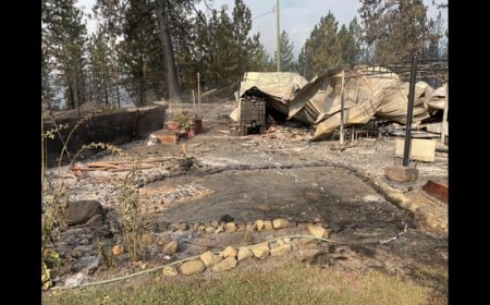 Okanagan resident says flames were surrounding their house as they fled