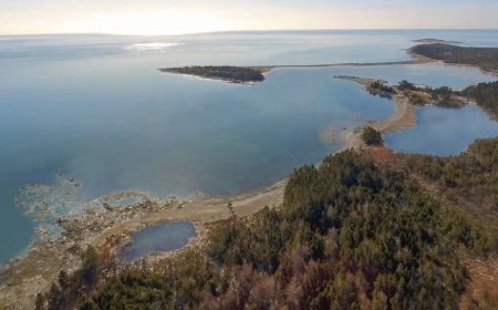 Whale sanctuary project secures 20-year Nova Scotia lease despite ongoing opposition