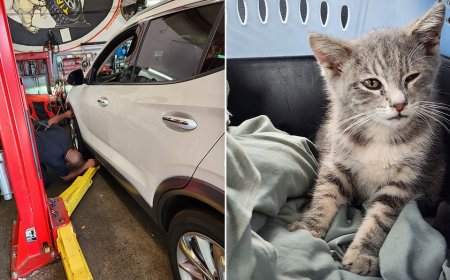 Surprise traveler trapped beneath car for hundreds of miles gets new chance at life