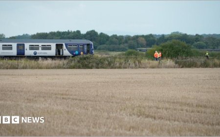Man dies after train hits van on level crossing