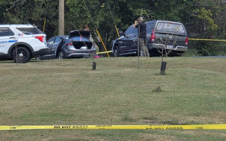 Police fatally shoot sword-wielding man after woman found trapped in car, officials say