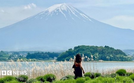 Mount Fuji pics, life-changing ramen and a weak yen - why young Brits are going to Japan
