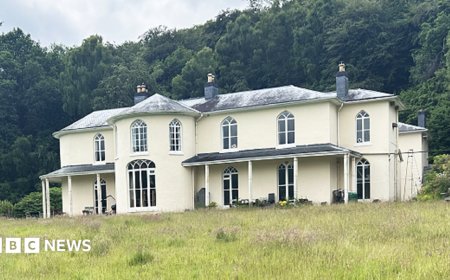 We all share a 15-acre Georgian mansion for the price of a two-bed house