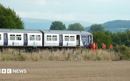 Fears over 'high risk' crossing after train crash death