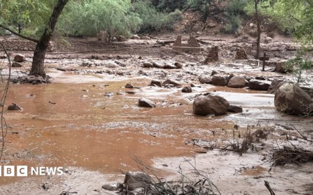 One dead and more than a dozen missing after 'terrifying' flash flood hits Grand Canyon