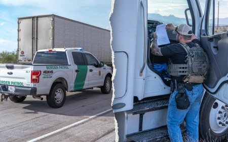 Dozens of illegal alien truck drivers busted with licenses from deep blue states