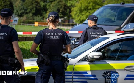Man arrested after Swiss rave shooting that killed woman