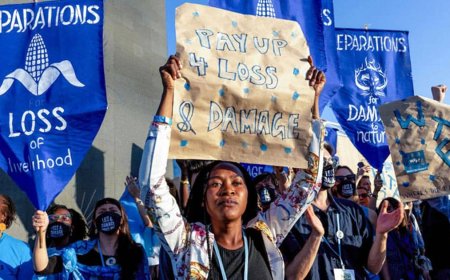 United Nations Demands Americans Pay Slavery Reparations