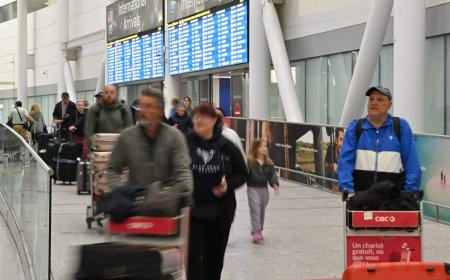Montreal woman searches for cat last seen at Toronto Pearson airport