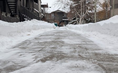 Edmonton looking to improve snow and ice clearing policy