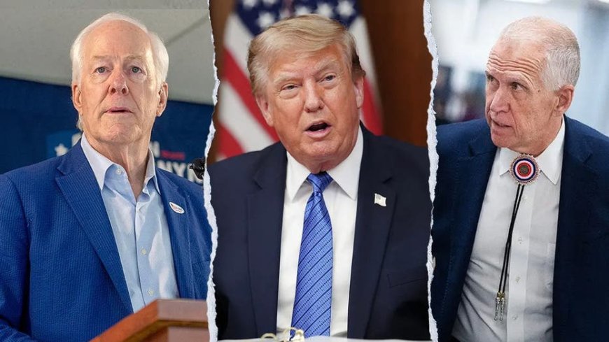 Trump blasts rogue GOP senators for blocking Blanche nomination, vows anti-weaponization bill fight