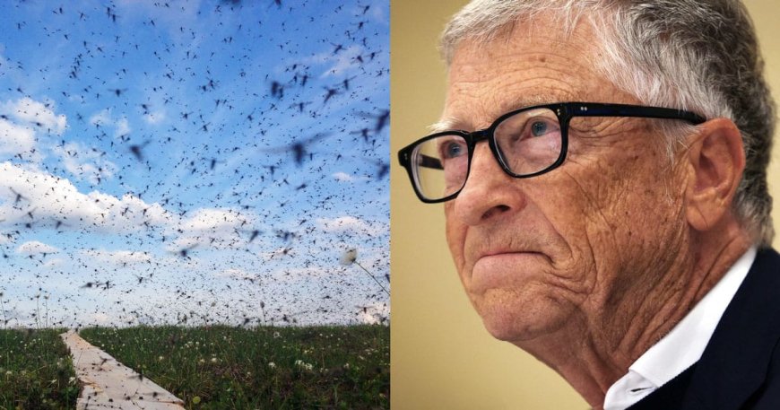 Biologist: Bill Gates ‘Destroyed’ Entire Ecosystem with Mosquito Agenda