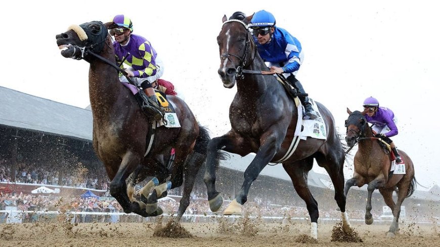 Saturday at the Spa: Saratoga Race Course picks for Jim Dandy Day and two other graded stakes races