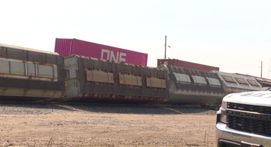 Train derailment in Regina rail yard under investigation