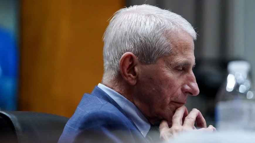 Report: Legacy Media Buried Fauci Diary Revelations