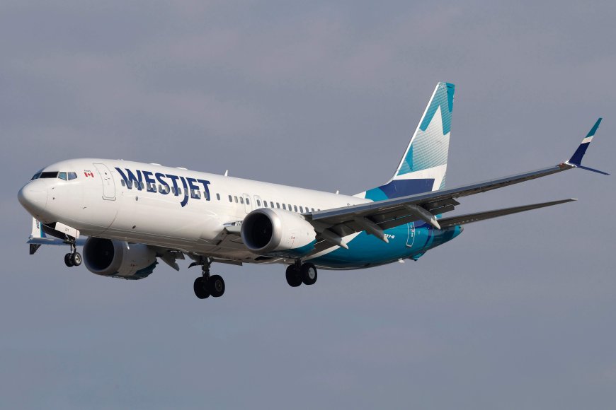 WestJet flight attendants on strike as company suspends most bookings