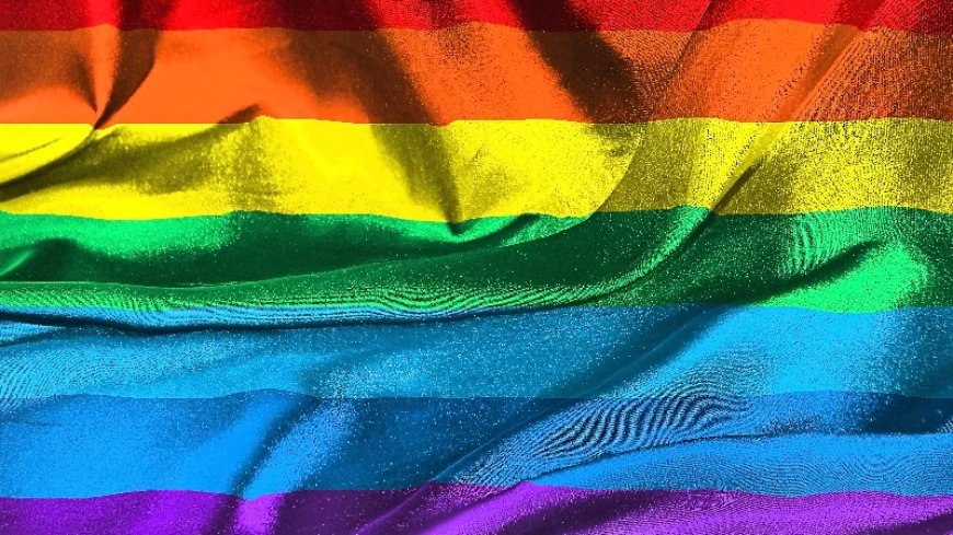 Support For Same-Sex ‘Marriage’ Declining In US, Another Poll Confirms