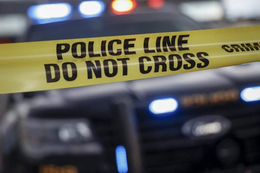 2 dead in Muskoka boating crash, OPP confirm