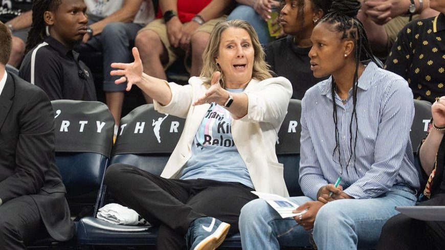 Former Vikings captain Jack Brewer calls out Lynx coach Cheryl Reeve for 'trans kids belong' shirt