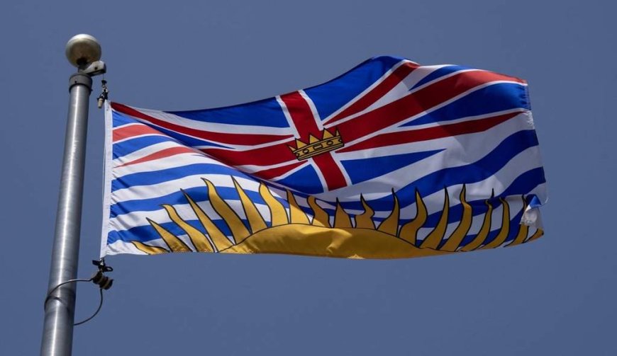 Two planes crash in mid-air near Chilliwack airport, officials say