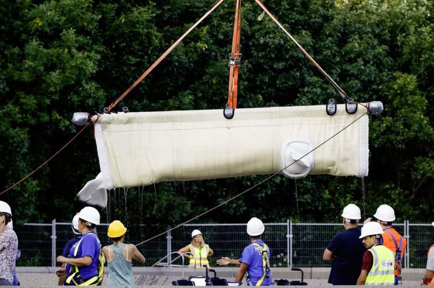 7 more Marineland belugas head for new home at U.S. aquarium
