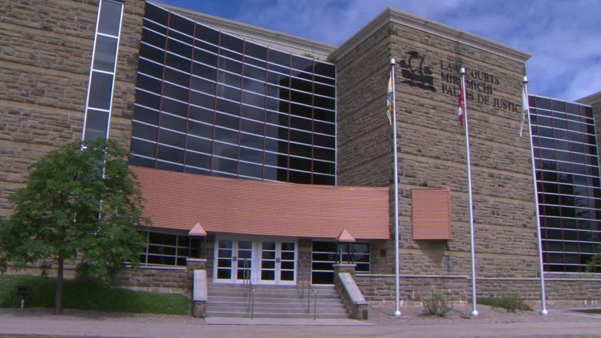 Complaint against New Brunswick lawyer’s use of AI part of growing trend: experts