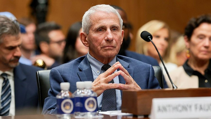 Did Fauci properly take the Fifth? The Senate could put that claim to the test