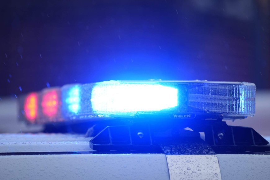 26% of gender-based homicide victims previously contacted police: StatCan
