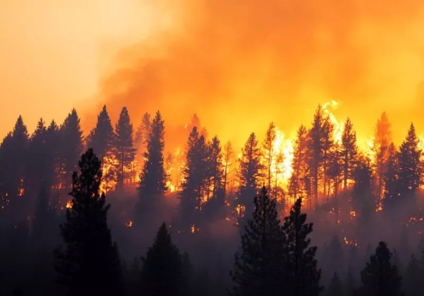 Greece is using thermal satellites to spot wildfires before people do