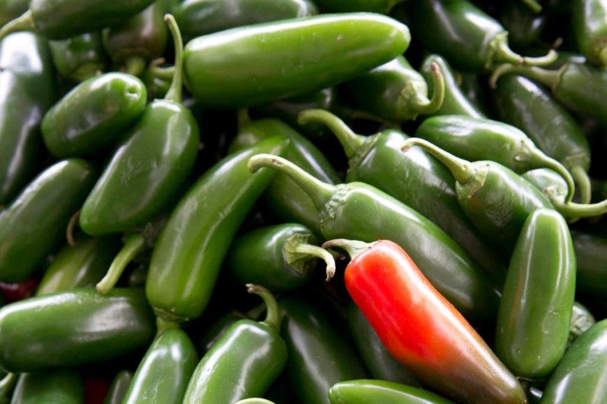 U.S. salmonella outbreak linked to jalapenos spreads in 27 states
