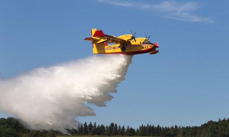 Lightning sparked dozens of wildfires in Quebec in July
