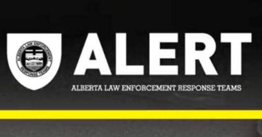 Alberta organized crime investigators seize large quantity of drugs, cash, guns