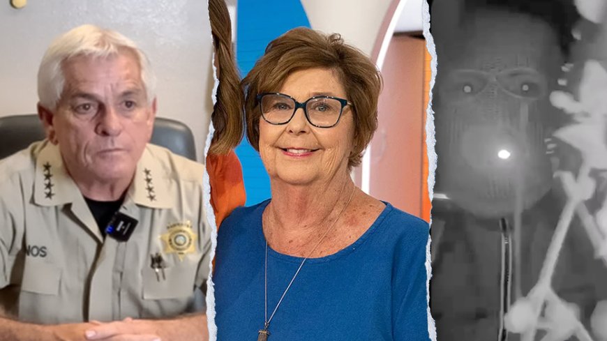 Nancy Guthrie investigators see uptick in tips after ransom notes release: Sheriff