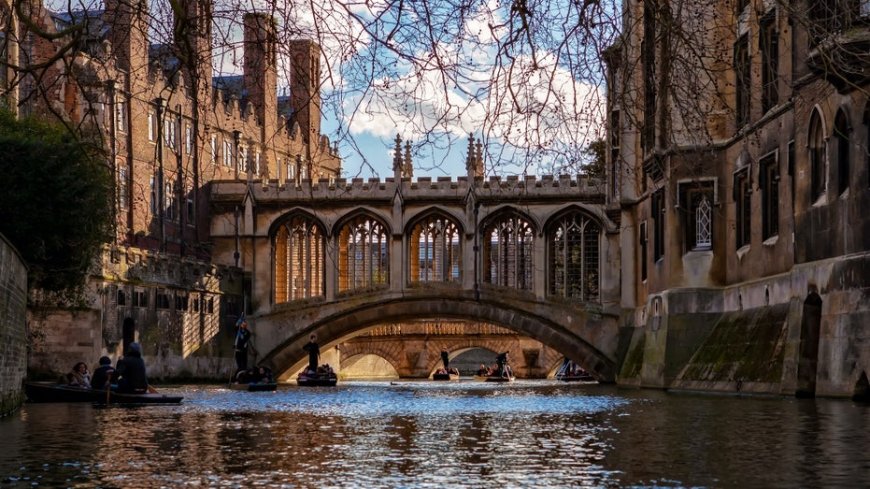 Cambridge University professor resigns after major plagiarism accusations prompt investigation