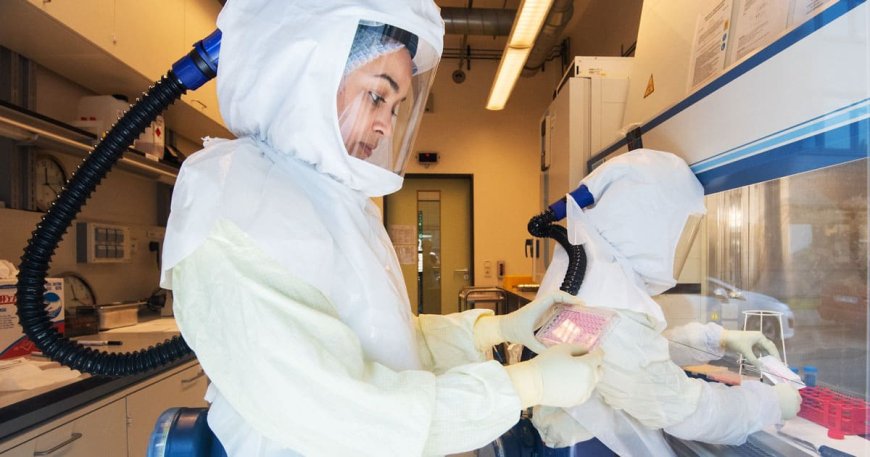 Scientists Use AI to Create Entirely New Viruses as Experts Warn of ‘Serious Harm’