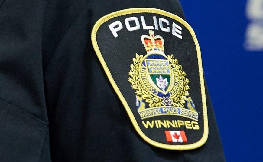 Bus rider stabs Winnipeg Transit operator, prompting police investigation